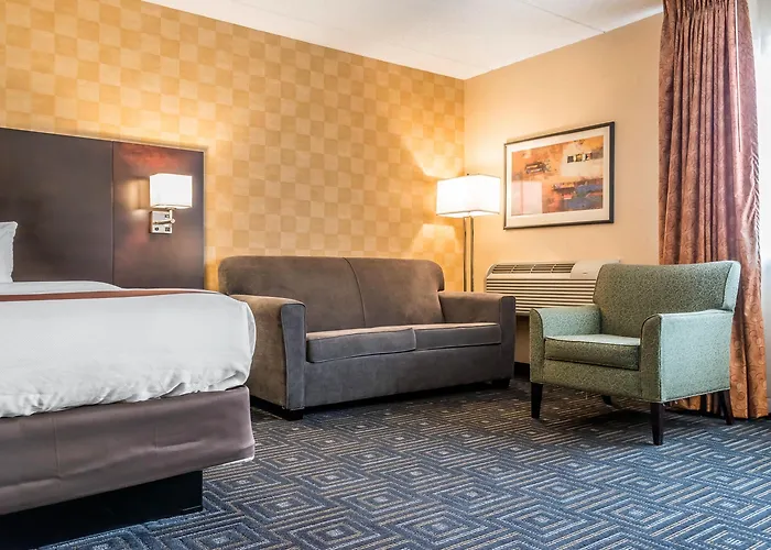 Quality & Mall Of America - Msp Airport Hotel Bloomington