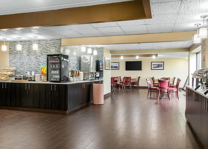 Quality & Mall Of America - Msp Airport Hotel