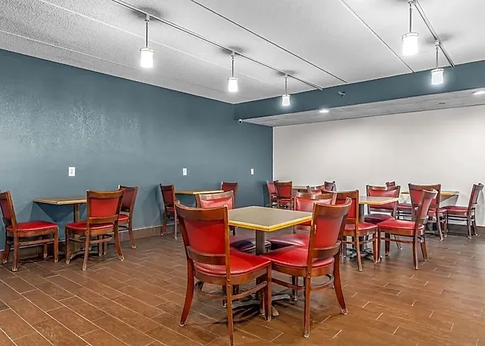Quality & Mall Of America - Msp Airport Hotel